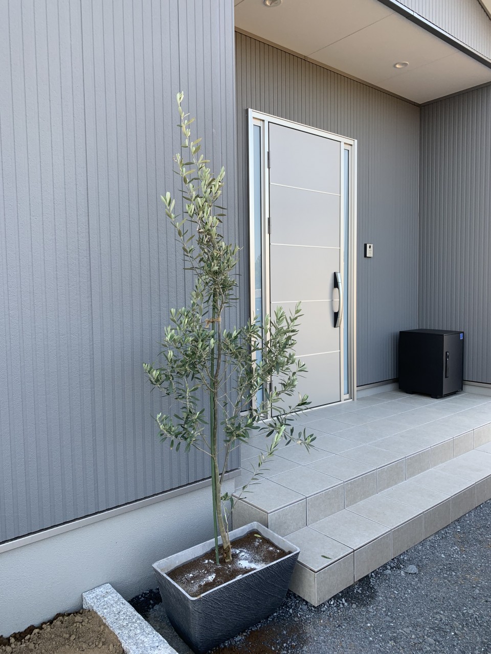 4月7日の田山建設 シンボルツリーはアオダモです Easyblog