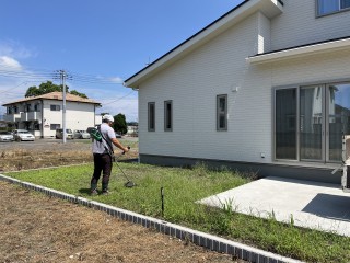 除草作業