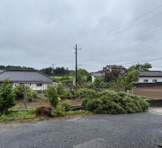 台風６号の爪痕