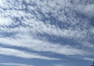 台風シーズン前に確認したい家のチェックポイント